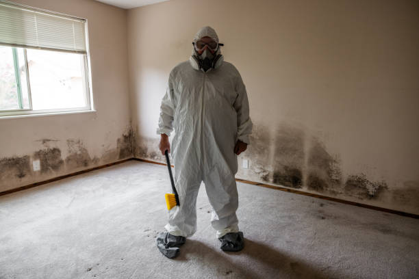 Best Emergency Mold Removal  in Bartlett, IL